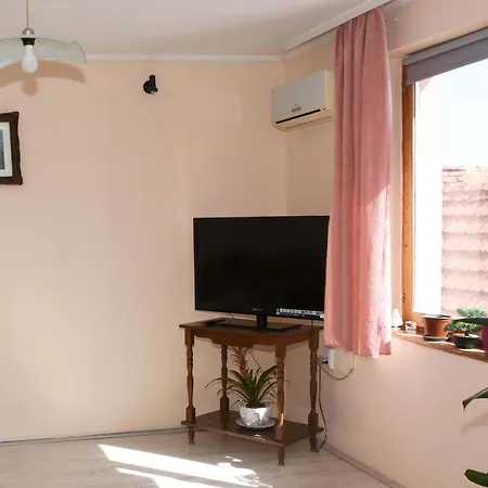 Stancic 019 * Zaječar