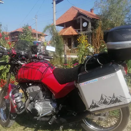 Stancic 019 * Zajecar