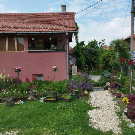 Stancic 019 Zaječar