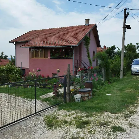 Stancic 019 * Zajecar