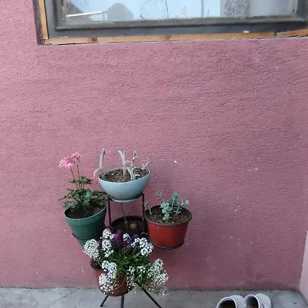 Stancic 019 * Zaječar