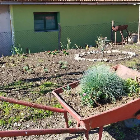 Stancic 019 Zaječar