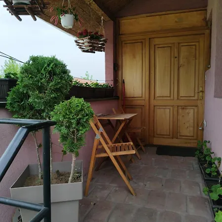 Stancic 019 * Zaječar