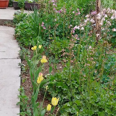 Stancic 019 Appartamento