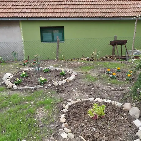 Stancic 019
