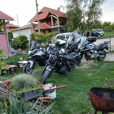 Stancic 019 * Zaječar