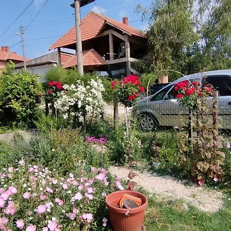 דירה Stancic 019 *