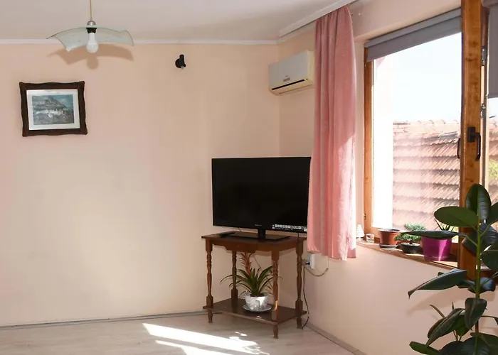 Stancic 019 * Zaječar