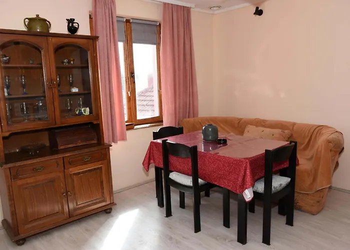 Stancic 019 Zaječar