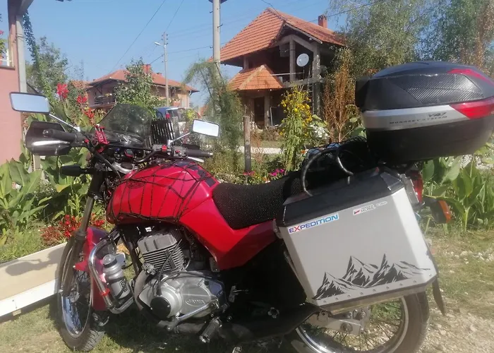 Stancic 019 * Zaječar