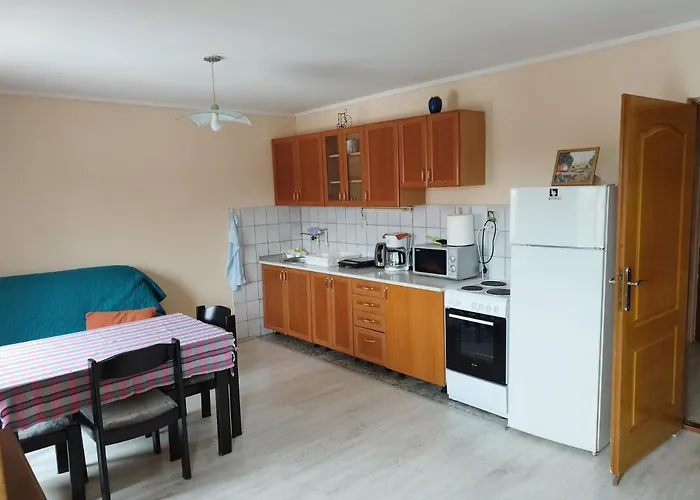 Stancic 019 Zaječar