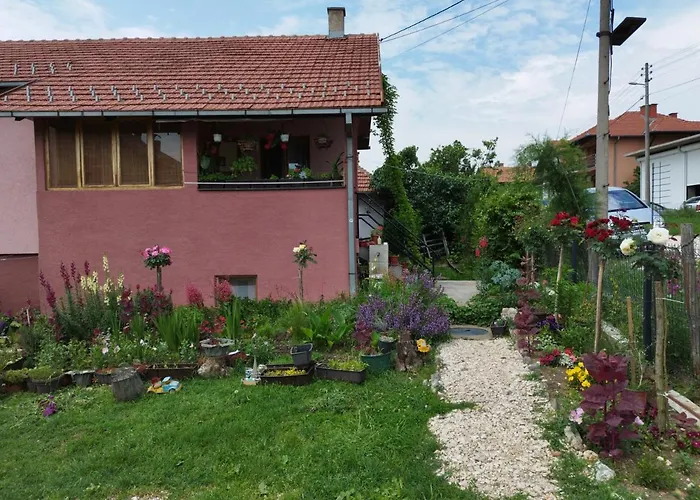 Stancic 019 Zaječar