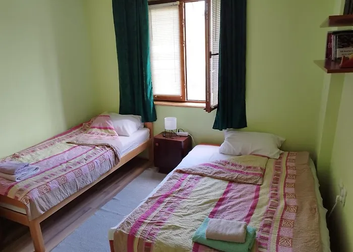 Stancic 019 * Zaječar