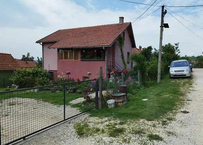 Stancic 019 * Zaječar