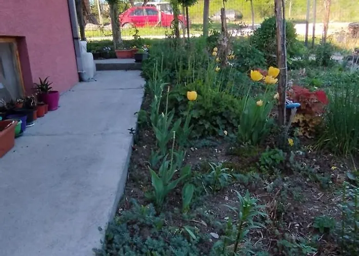 Stancic 019 Lägenhet Zaječar