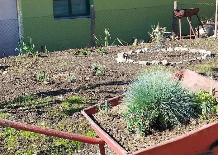 Stancic 019 Zaječar