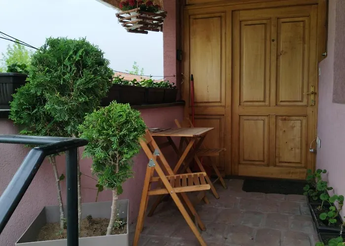 Stancic 019 * Zaječar