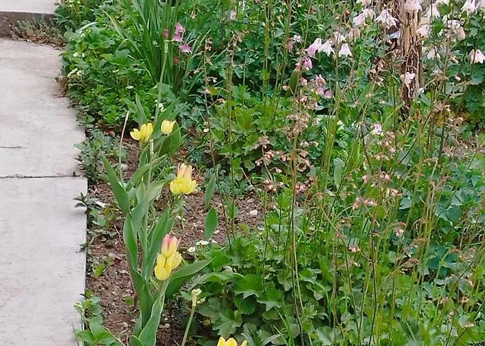 Stancic 019 Lägenhet