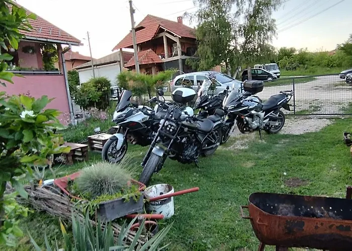 Stancic 019 * Zaječar