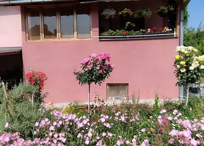 Stancic 019 Lägenhet *